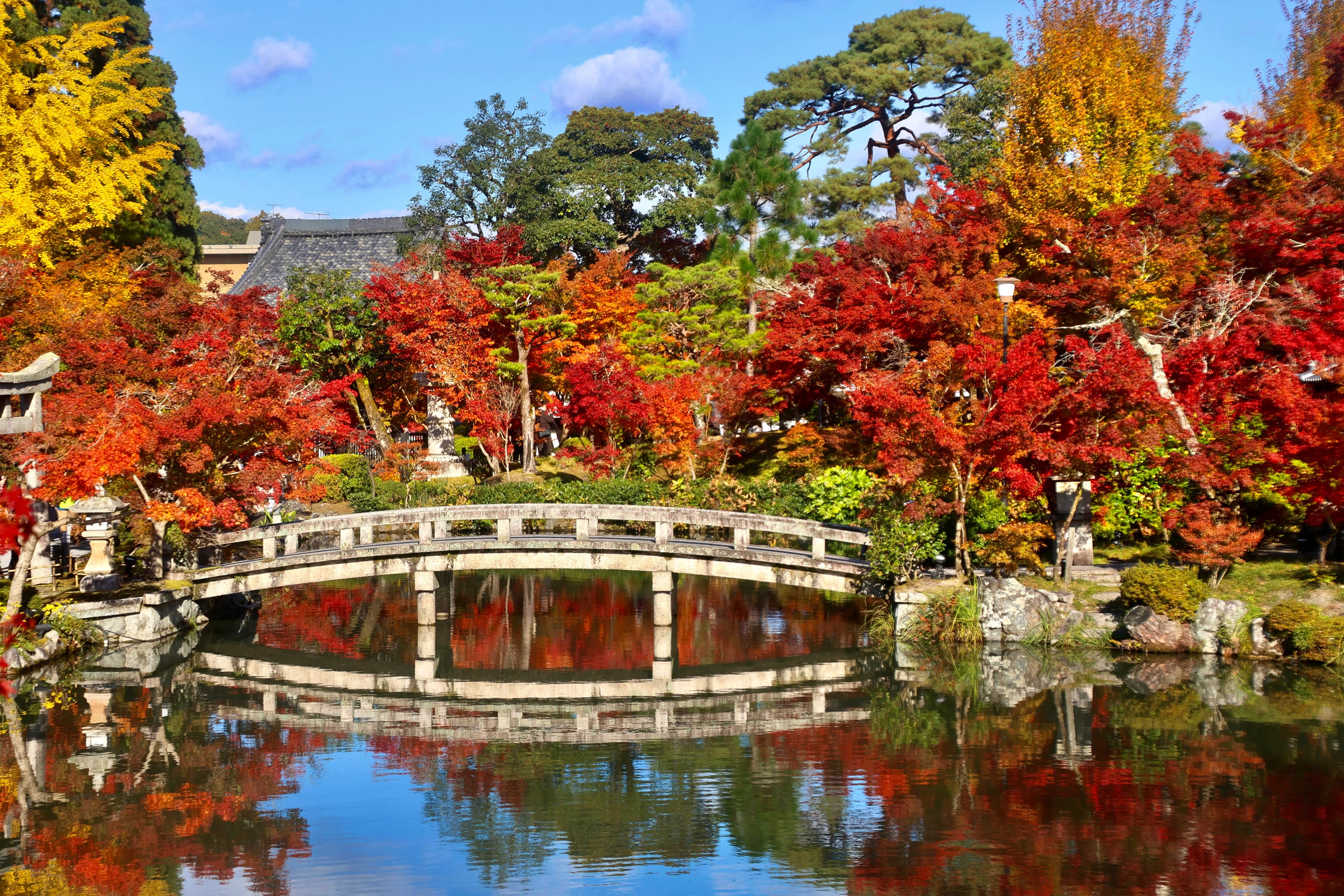 Stone bridge over the pond at Eikan-do surrounded by red maples